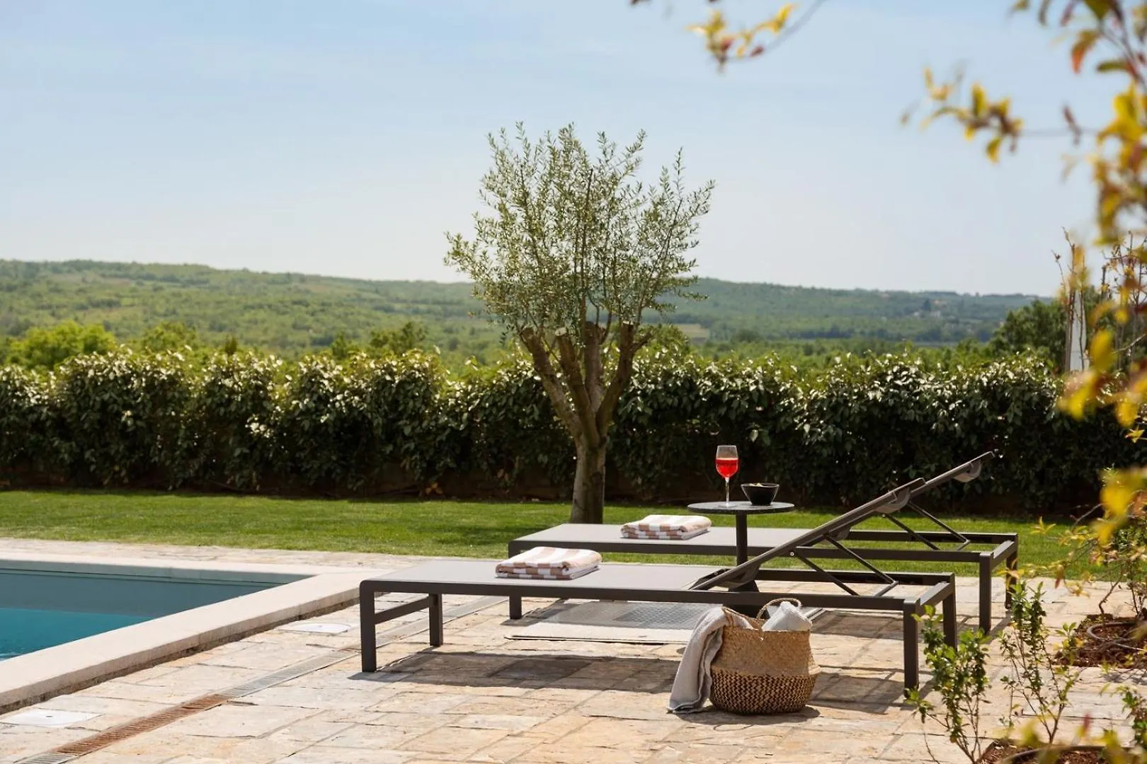 Rustic Villa Calluna & Cardamine With A Pool Sveti Lovrec Pazenaticki 0*,